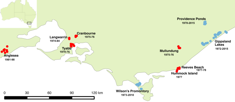 New Holland mouse detection sites across Victoria. Red dots indicate sites in areas where the species has not been detected in at least 15 years, blue dots indicate areas with more recent detections. Dates show the range of years during which New Holland mice were known at each site.